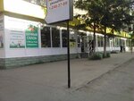 Dachny salon (Sofiyskaya ulitsa, 1) ، محل زهور