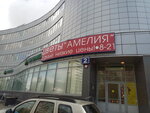 Magazin Tsvety (Gogolya Street, 2), flower shop