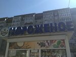 Russki Holod (Amundsena Street, 63/3) ، مثلجات