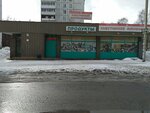 Salyut (ulitsa Lermontova, 333А), tienda de productos