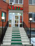 Цветы (Kirova Street, 3) ، محل زهور
