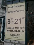 Rodnik (Ogorodnaya ulitsa, 1/1) ، محل بقالة