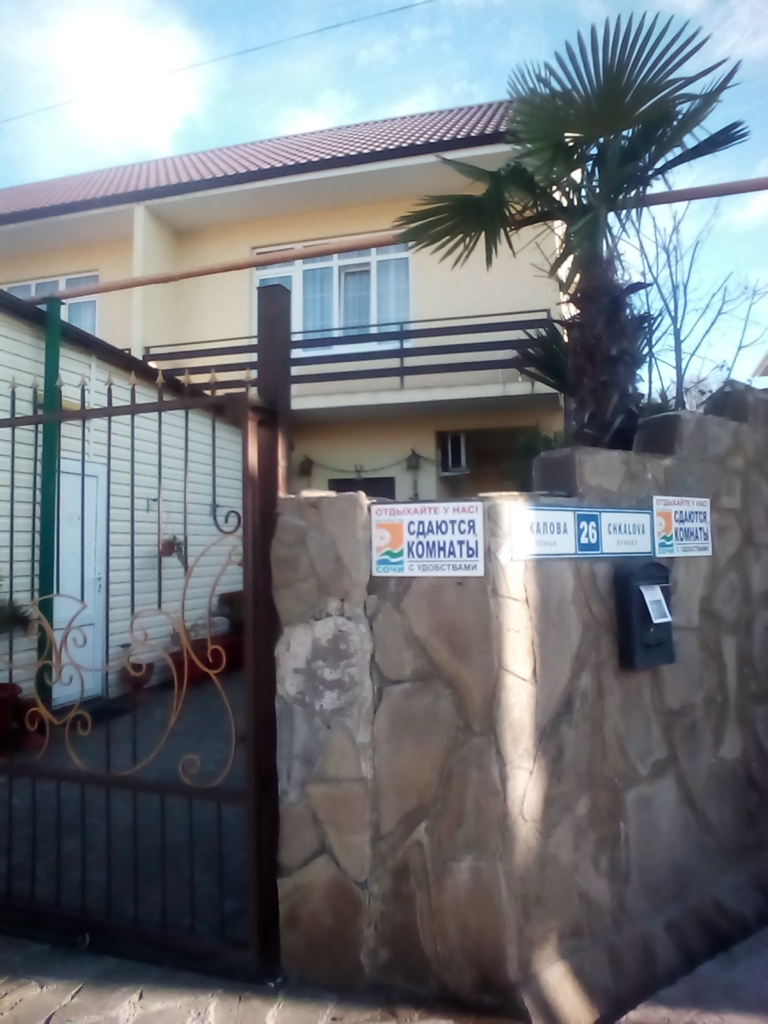 Фото Азалия