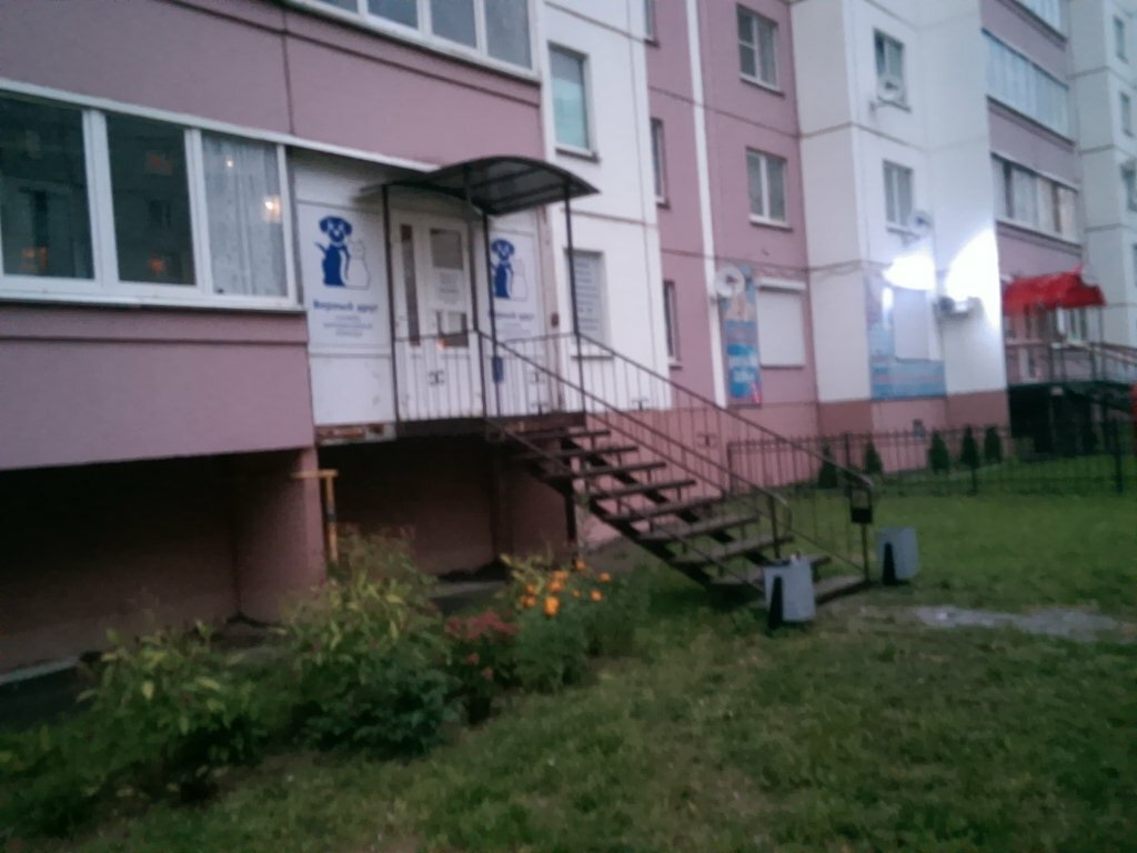 Смоленск петра алексеева 19 фото