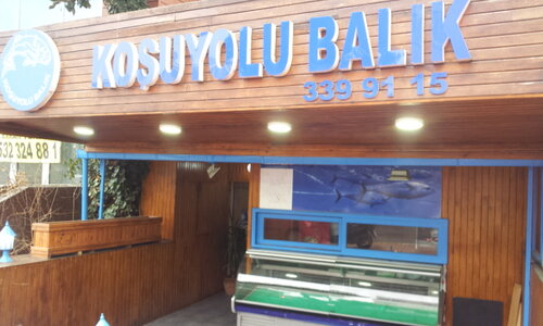 Koşuyolu Balık, restoran, Koşuyolu Mah., Koşuyolu Cad., No98, Kadıköy
