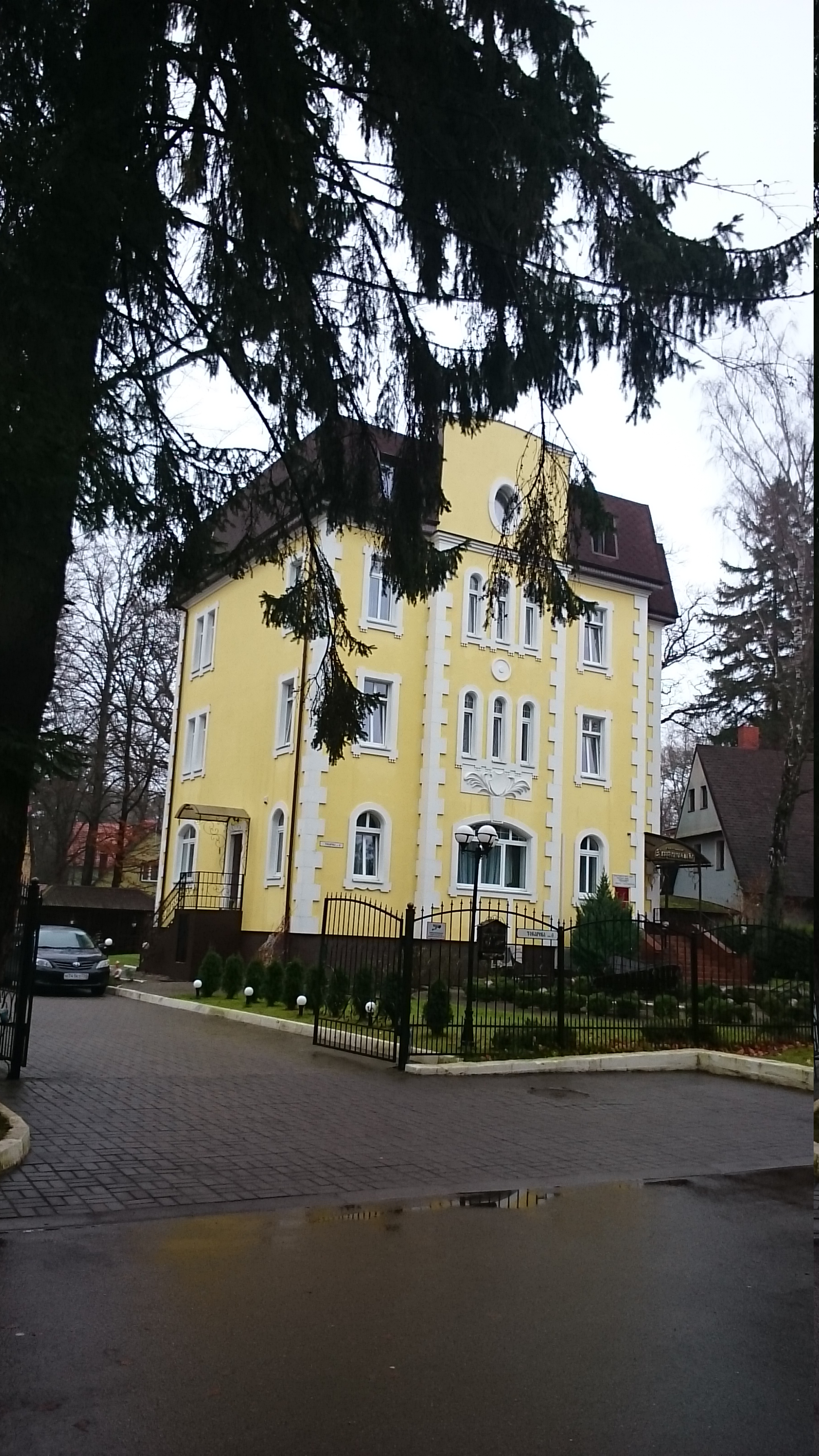 Фото Лес Георга