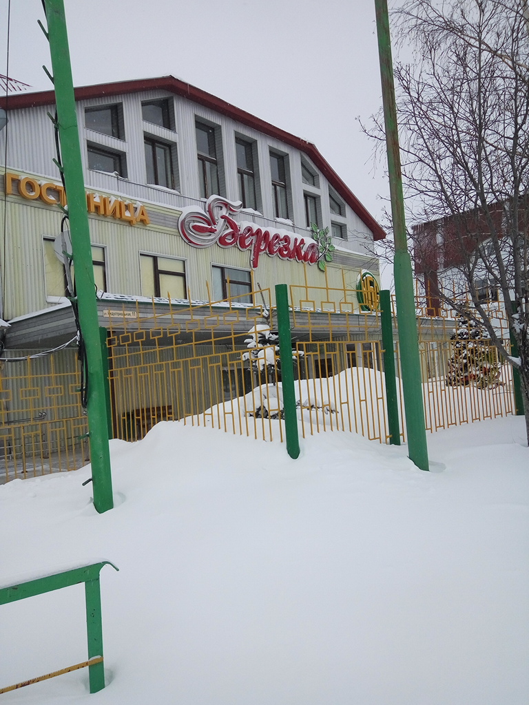 Фото Березка