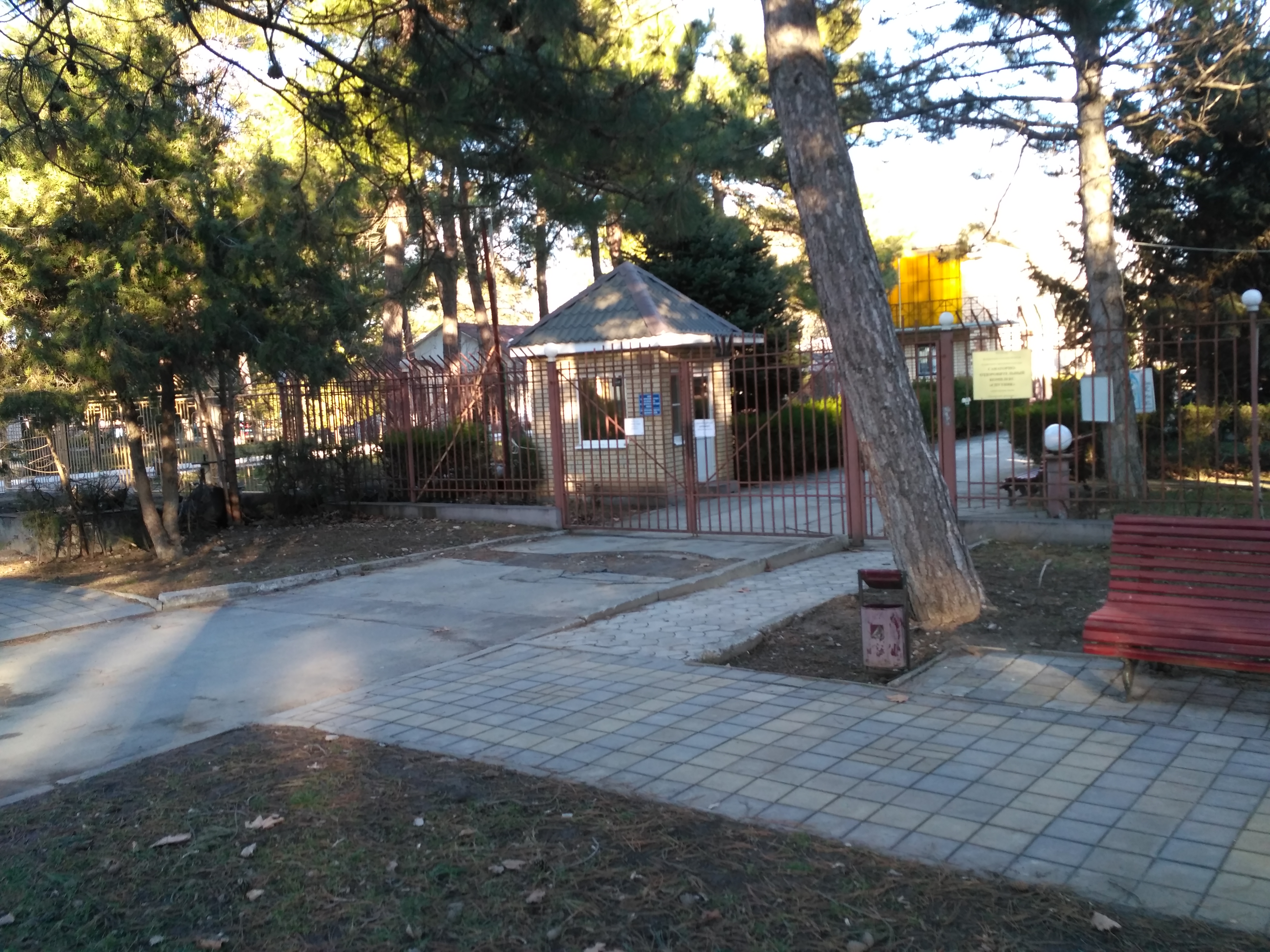 Фото Спутник