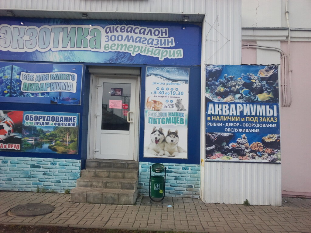 Щепкина 22 курск карта