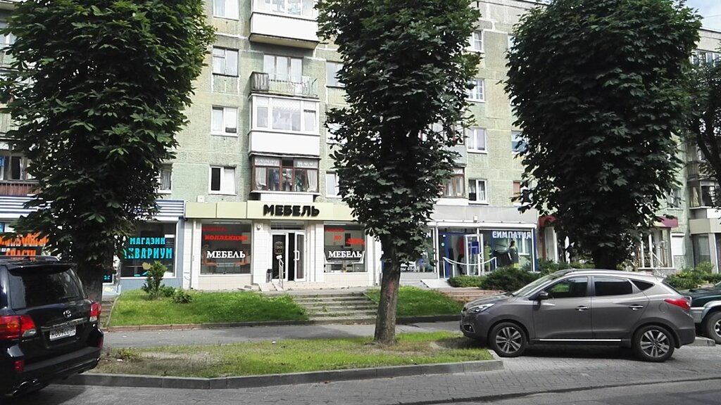 Магазины На Пролетарской Калининград