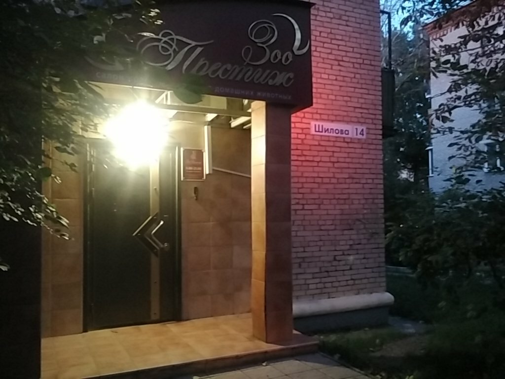 Зоопрестиж ул шилова 14 фото