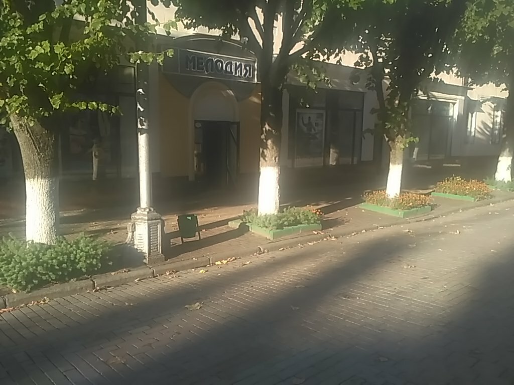 Магазин Мелодия Смоленск Официальный Сайт