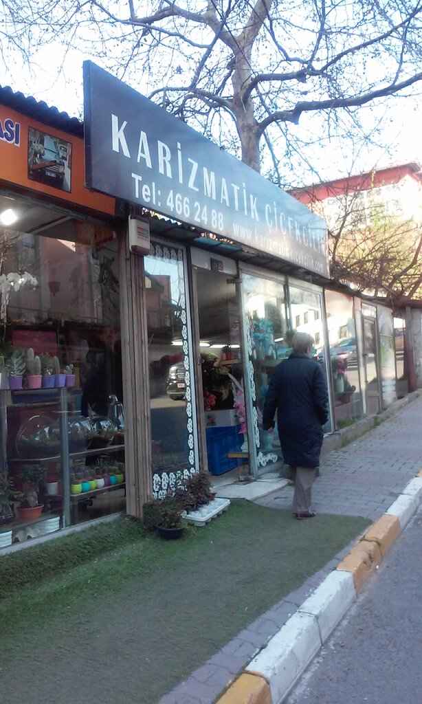 محل زهور Karizmatik Uluslararasi Cicekcilik ، اسطنبول، صورة
