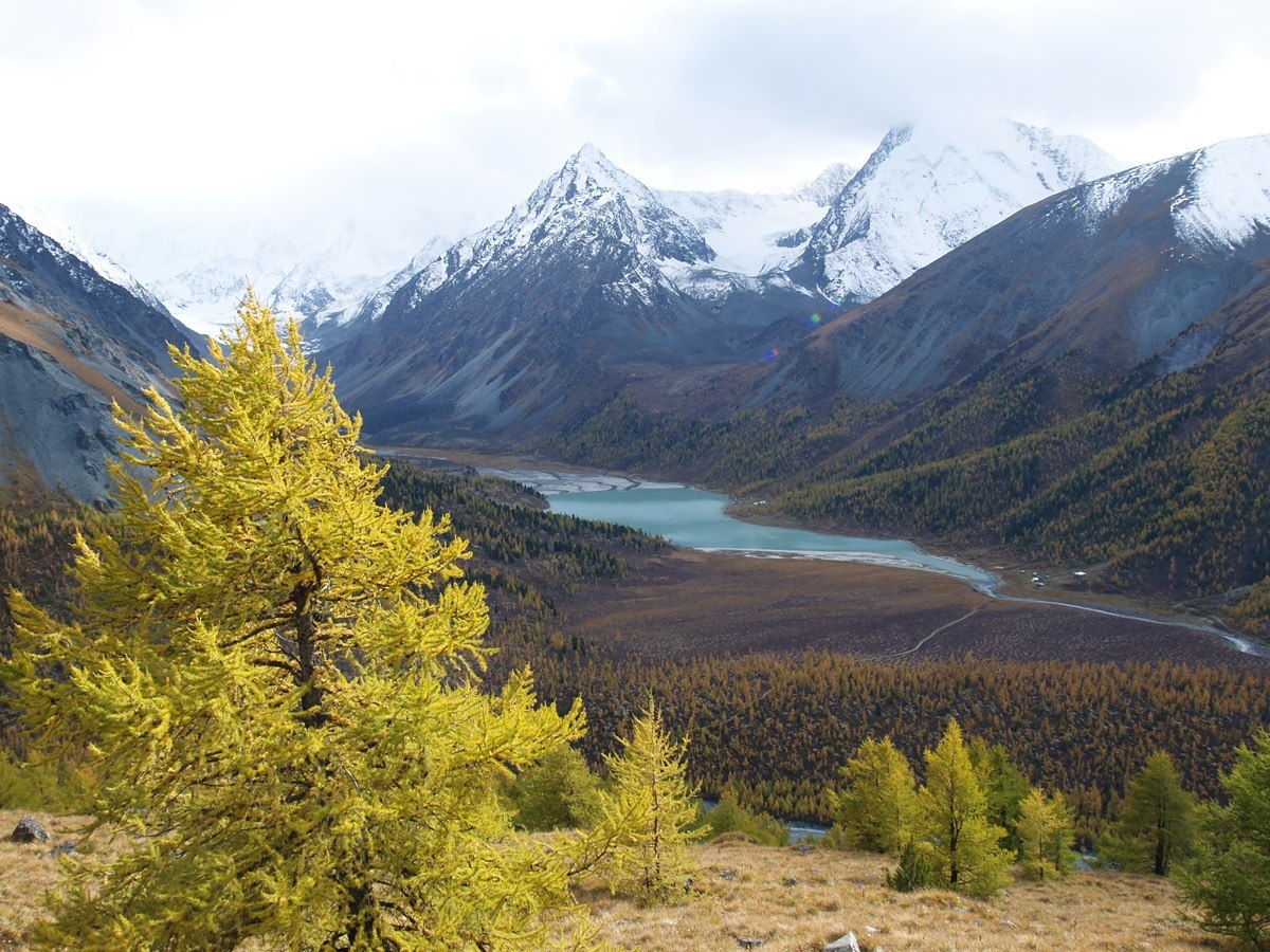 Фото Приют Романтиков