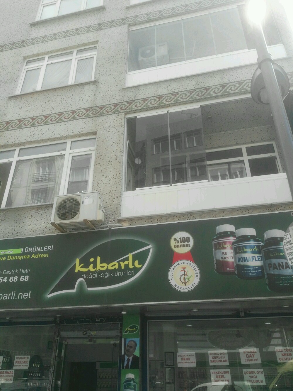 alev gül vk