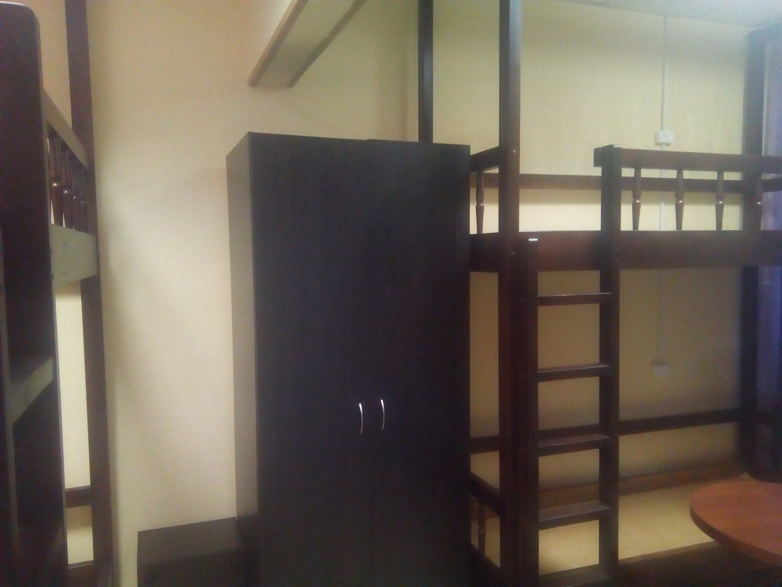 Фото Вежливый лось