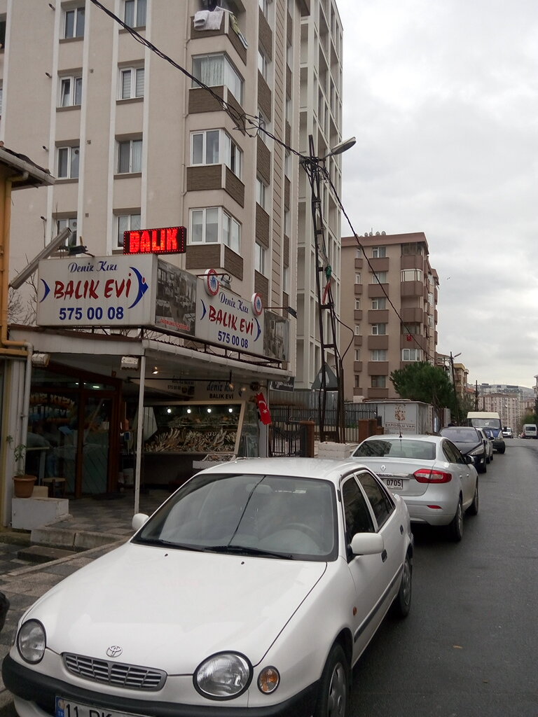 منتجات نباتية ومكملات غذائية Malatya pazari ، اسطنبول، صورة