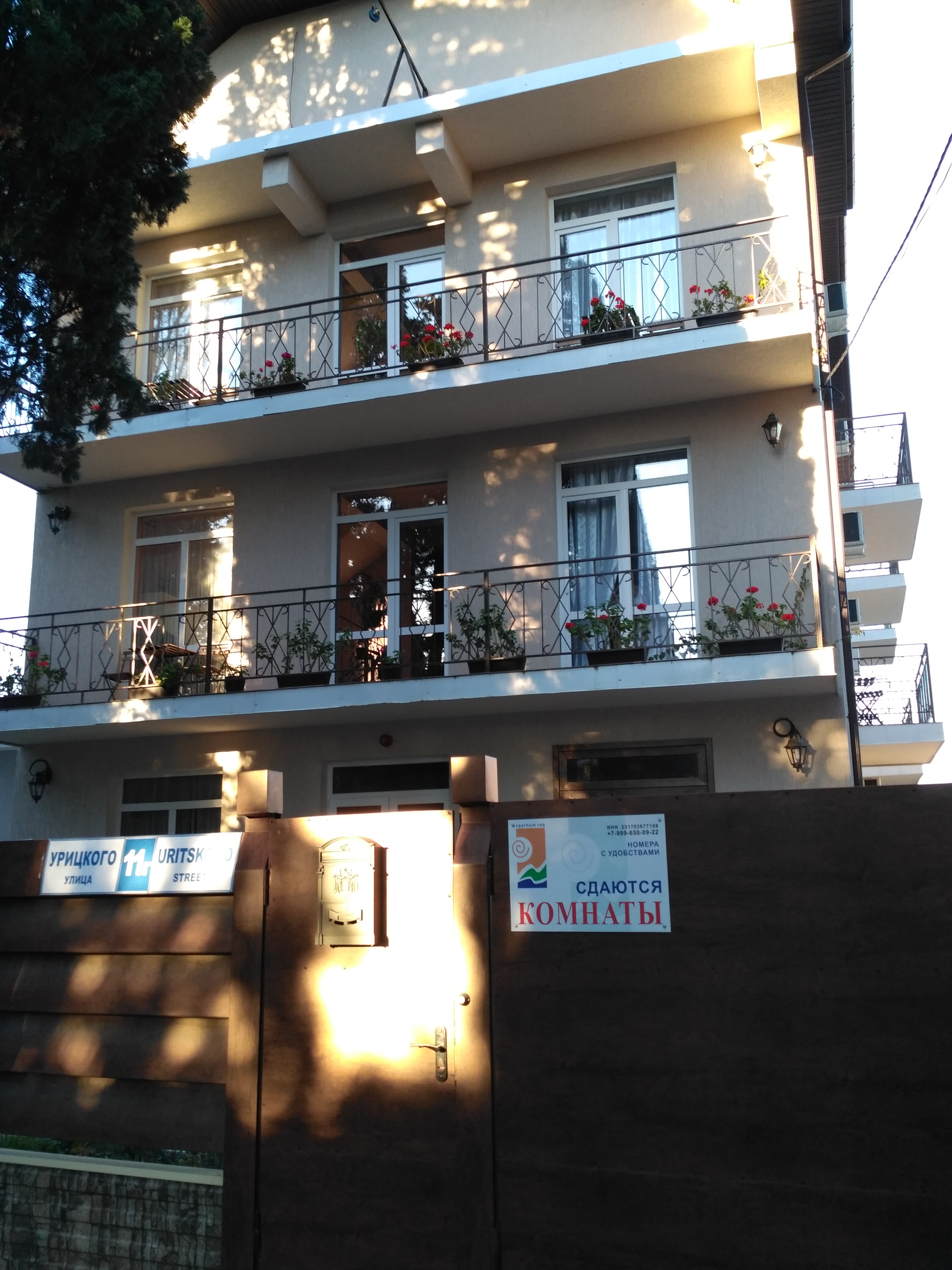 Фото Лаванда