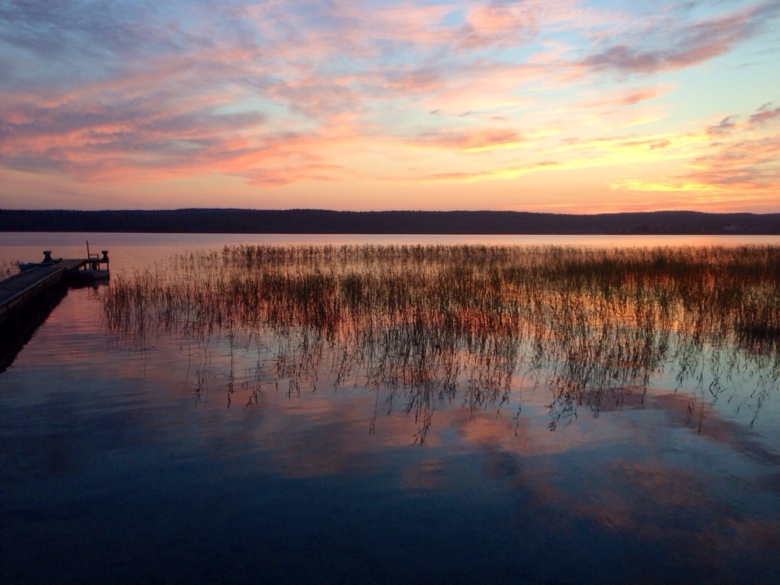 Фото Зайкина дача