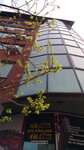 Ledsis Lighting and Alternative Energy Systems (İstanbul, Kağıthane, Seyrantepe Mah., Ibrahim Karaoglanoglu Street, 147), luminarias