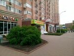 Magazin tsvetov Kameliya (Holosiivska Street, 13) ، محل زهور
