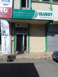 Ulusoy (İstanbul, Bağcılar, Mahmutbey Mah., 2421. Sok., 101), tienda de semillas