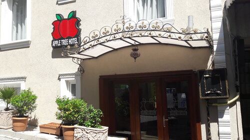 Гостиница Apple Tree Hotel в Фатихе