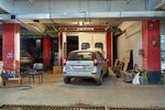 Рекорд Моторс (Daurskaya Street, 9А), pet products wholesale