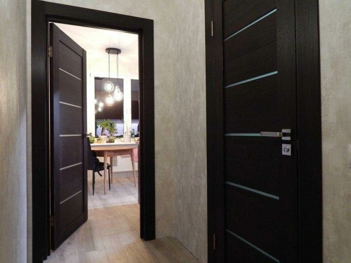 Wenge doors in the hallway interior (47 Photos)
