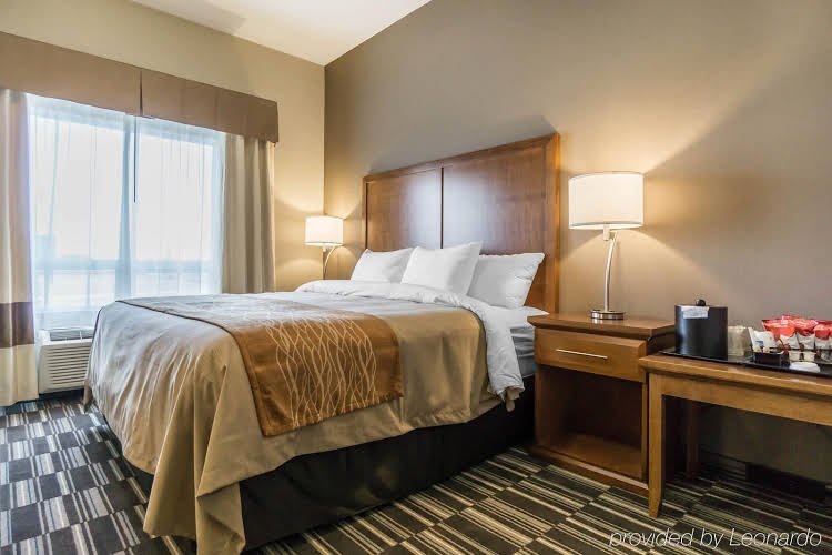 Фото Comfort Inn & Suites Edmonton International Airport