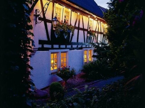 Гостиница Landgasthof Alte Bergmühle в Дитценбахе