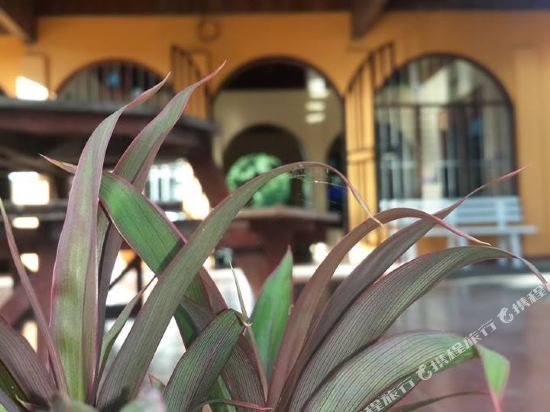 Фото Hotel Guanacaste