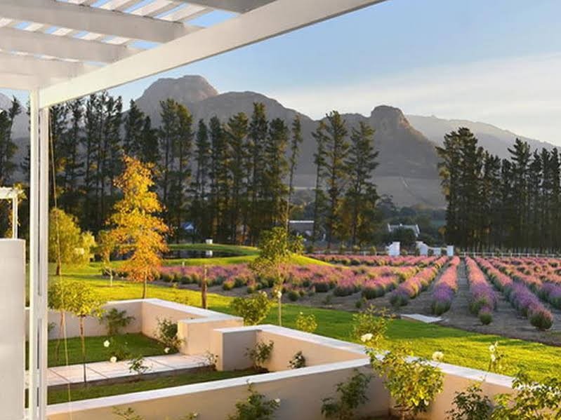 Фото Lavender Farm Guest House