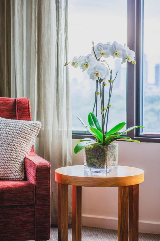 Фото View Melbourne