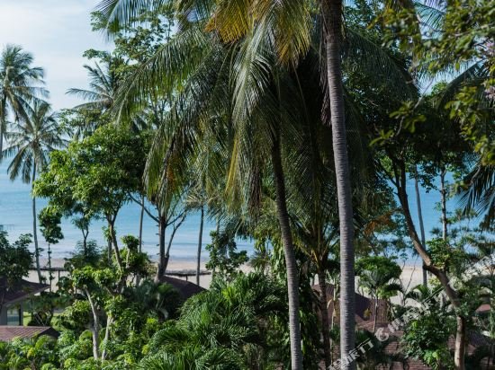 Фото Anda Lanta Resort