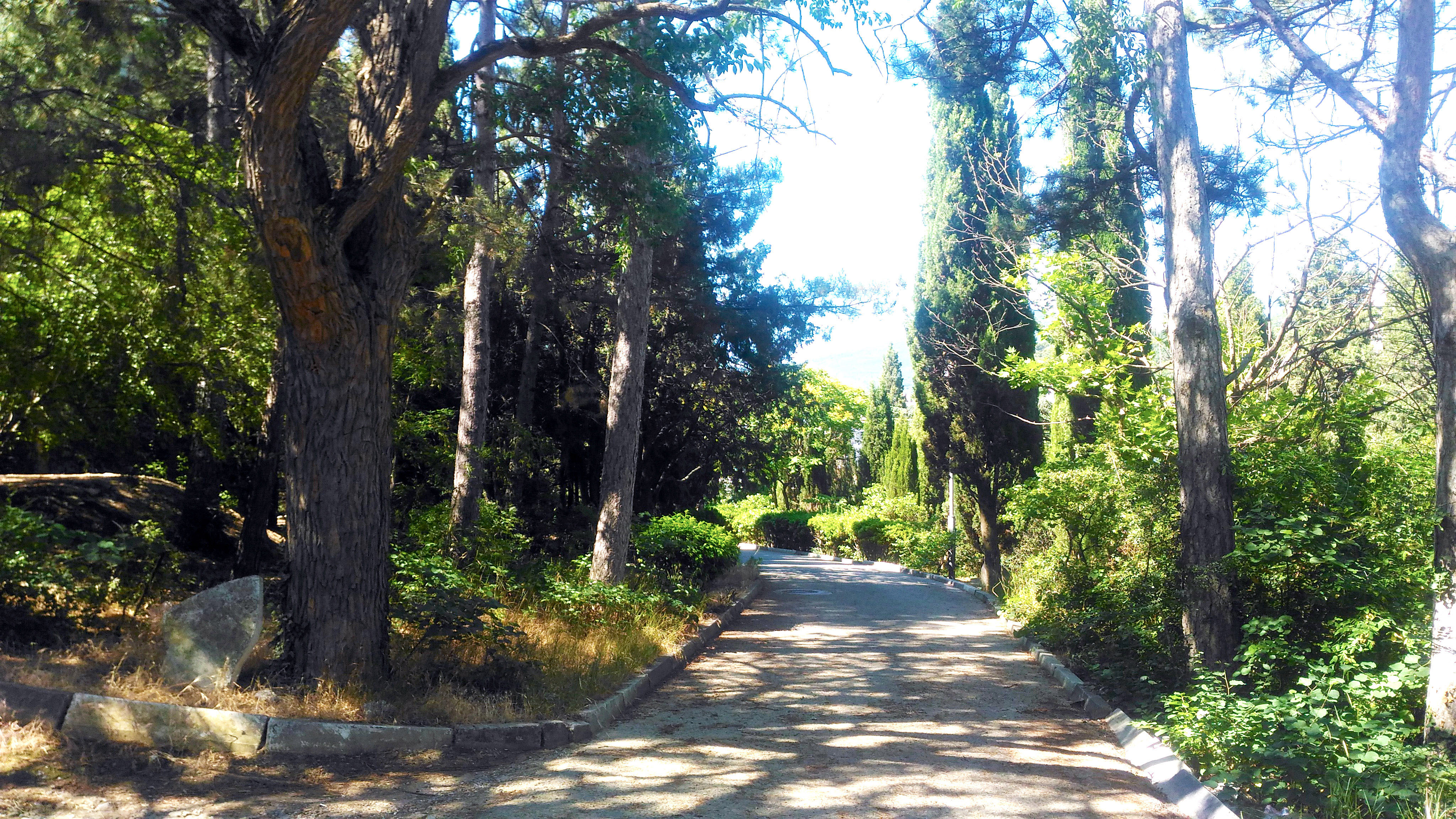 Фото Адмирал Ялта