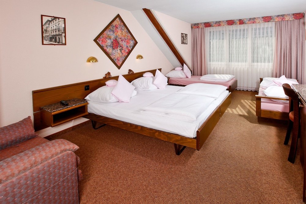 Фото Baslertor City Hotel