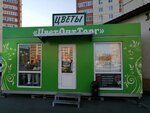 Mir Cvetov (Penza, Stroiteley Avenue, 170) ، محل زهور