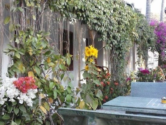 Фото Duc Thao Hotel