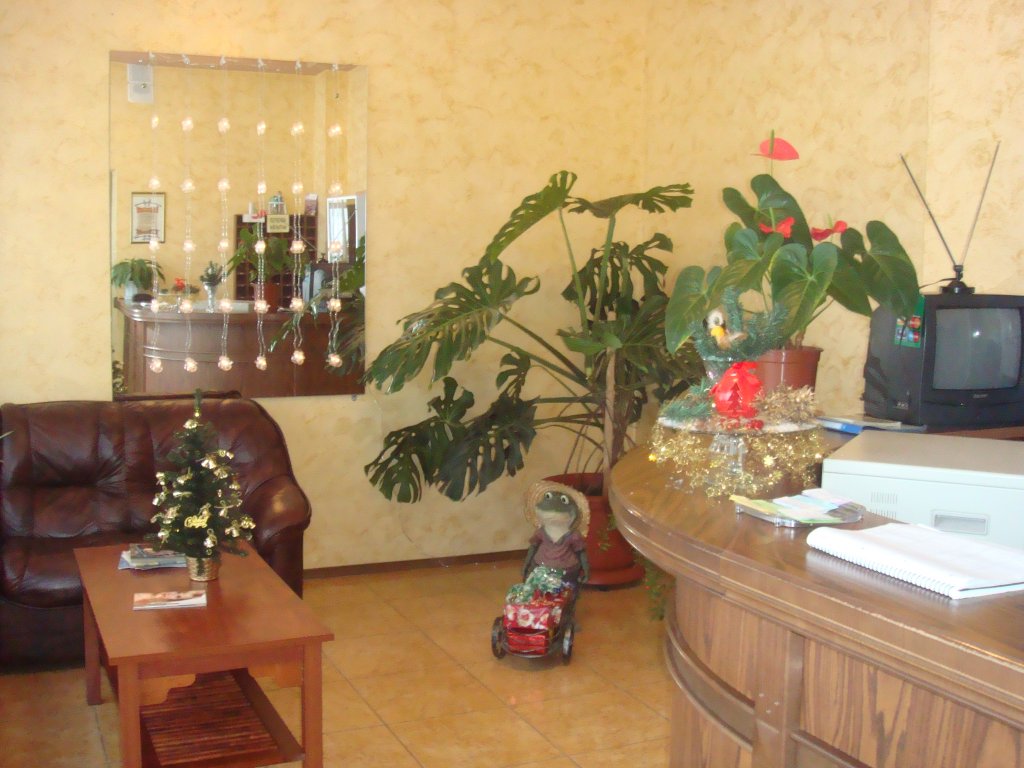 Фото Магнетит