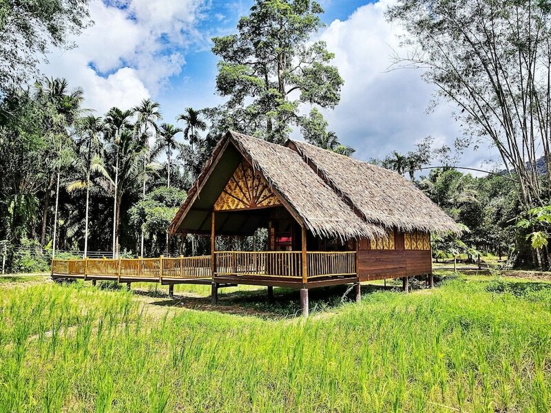 Гостиница Our Jungle Camp - Eco Resort
