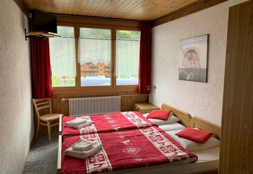 Внешний вид отеля Hôtel des Portes du Soleil в Валь-д'Илье, фото 4