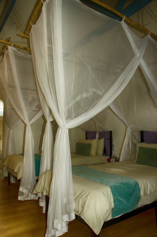 Фото The Old House