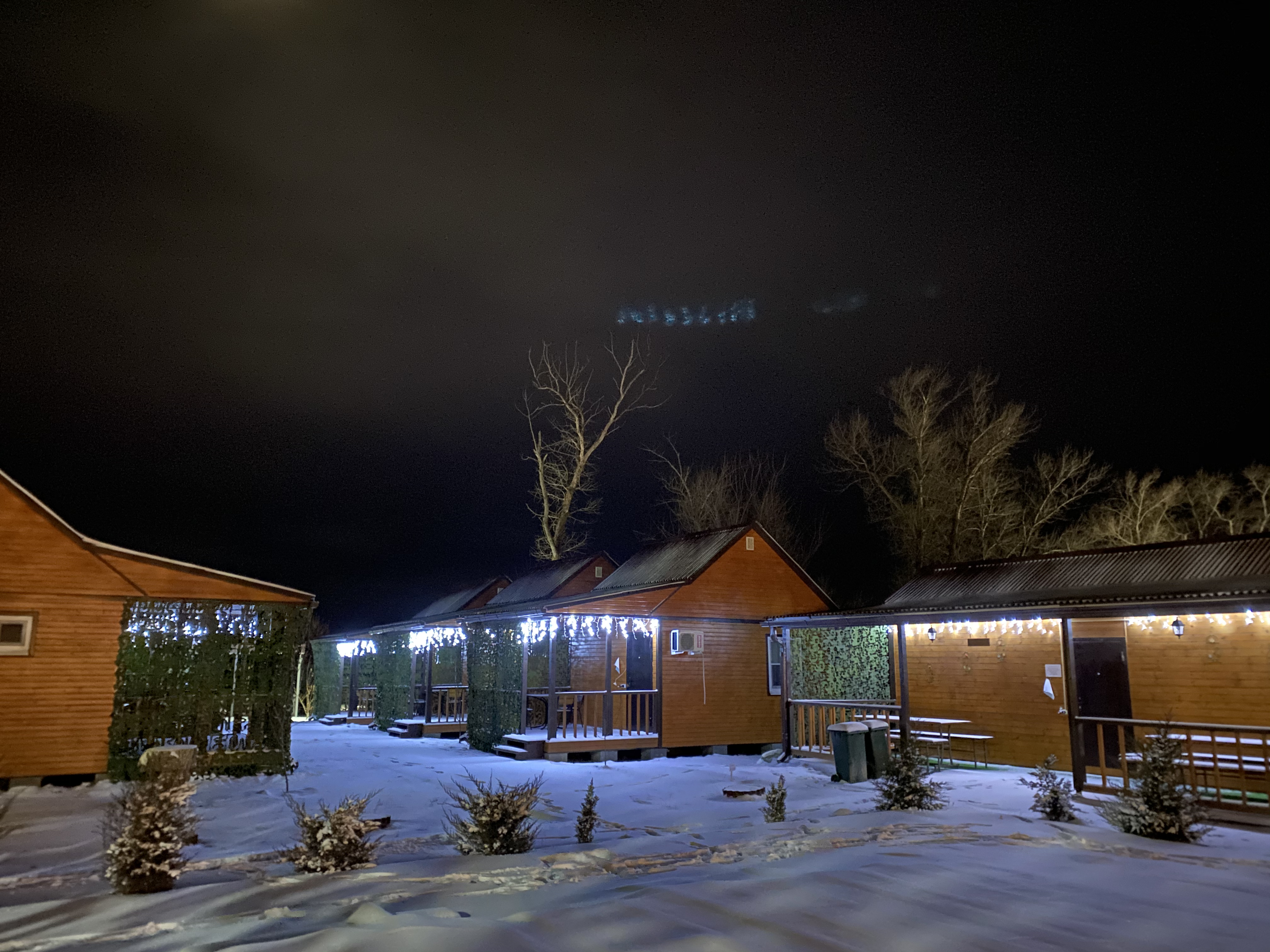 Фото Ковчег