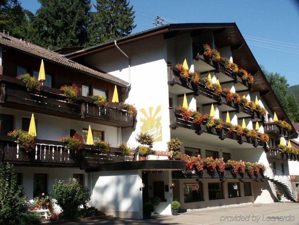 Фото Flair Hotel Sonnenhof