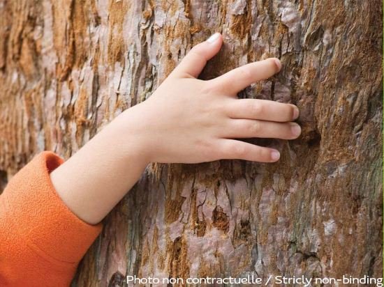Фото Ibis Paris Père Lachaise