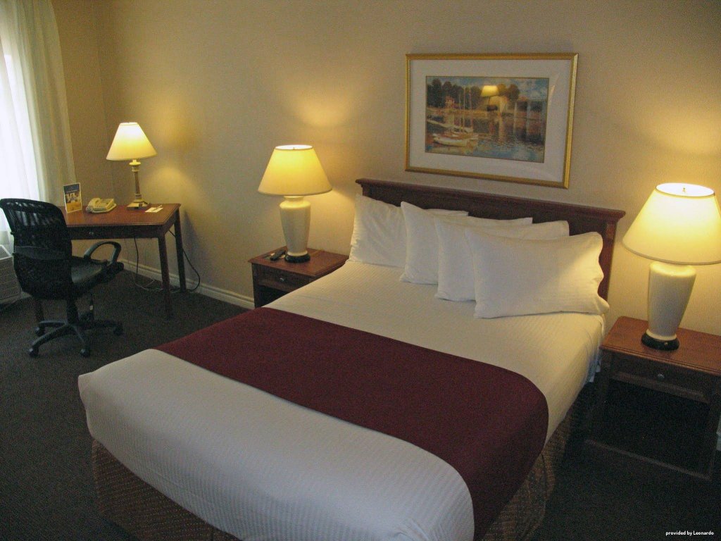 Фото Hotel Del Sol