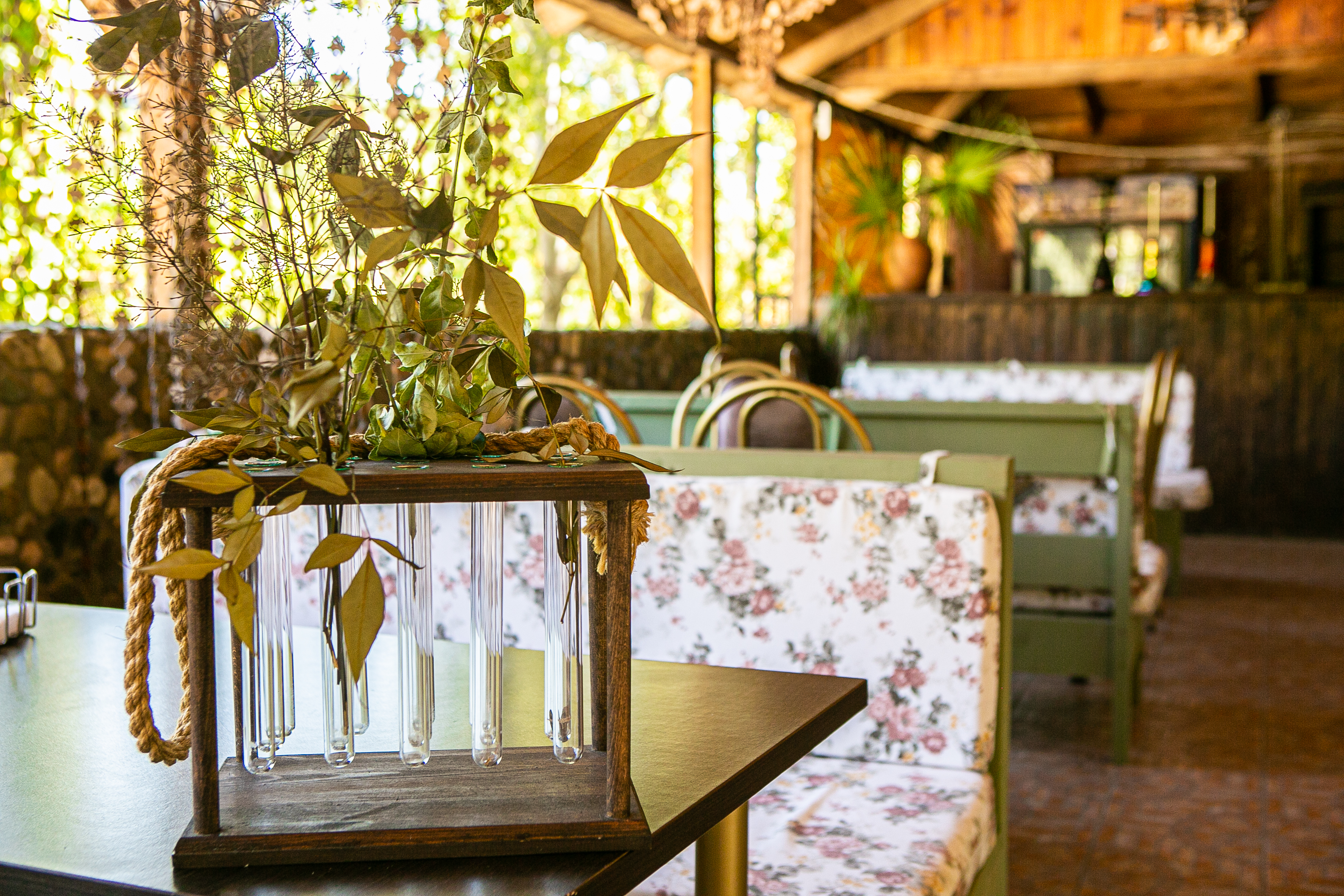 Фото Гости Кавказа