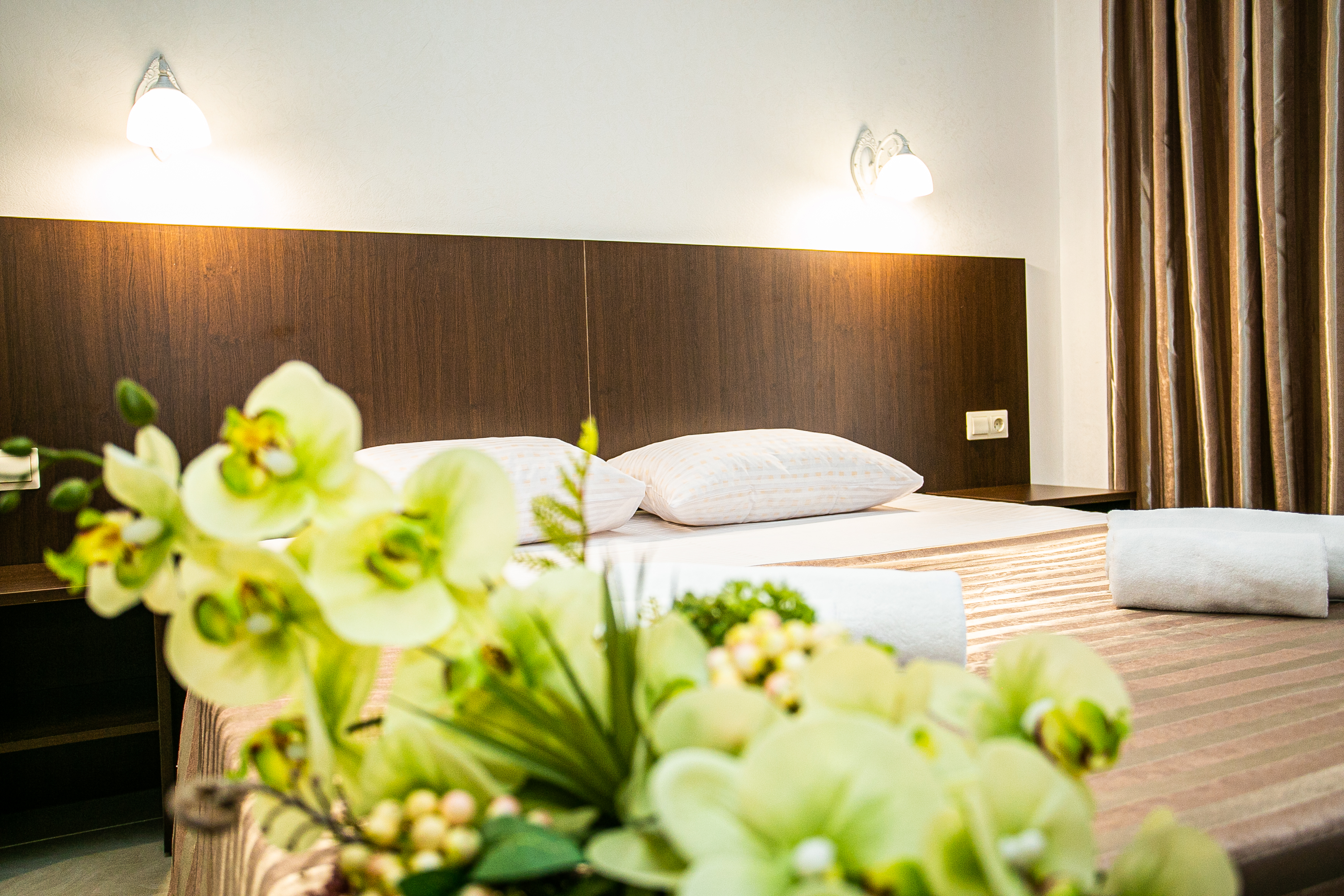 Фото Гости Кавказа