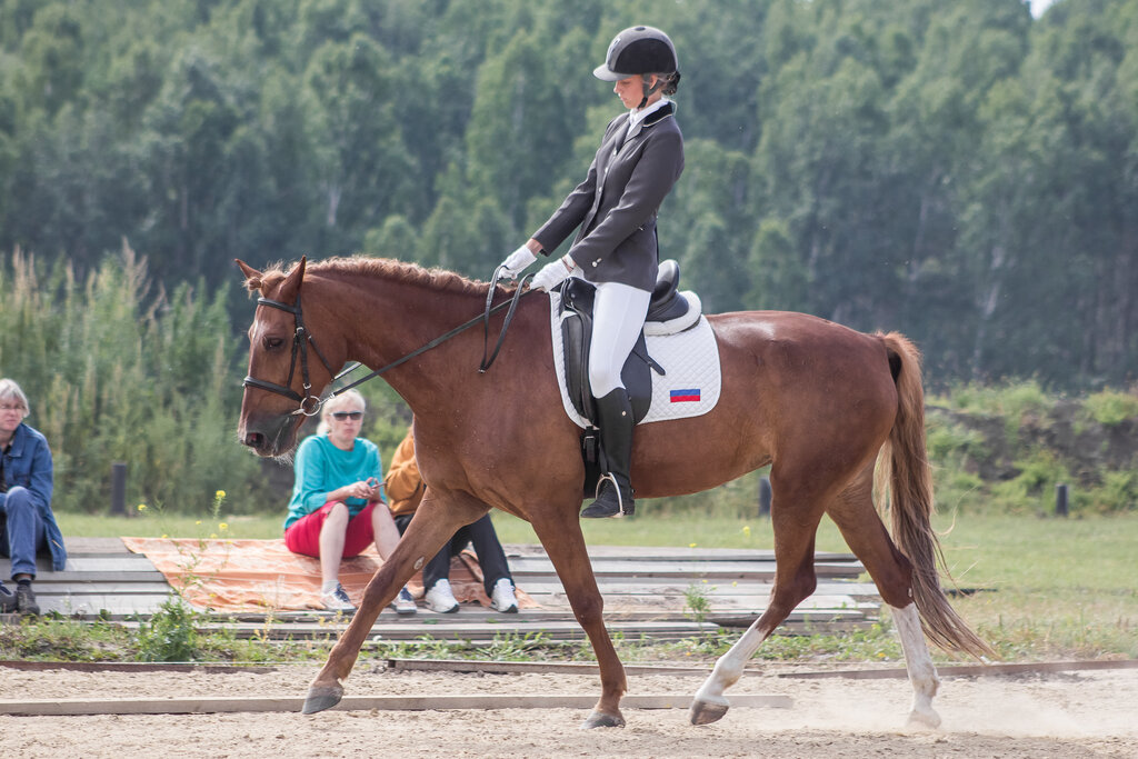 Club de caballos Krasnoyarsky tsentr ippoterapii, , foto